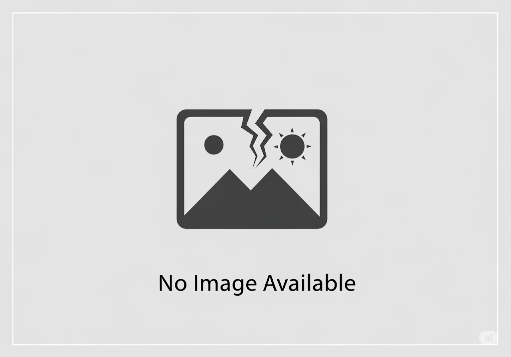 The Silent Architect of Healing: Building a Better TMJ Disc